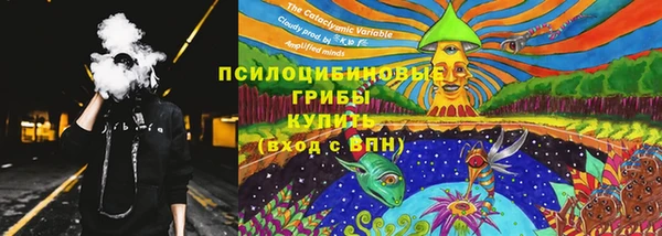 прущие грибы Армянск