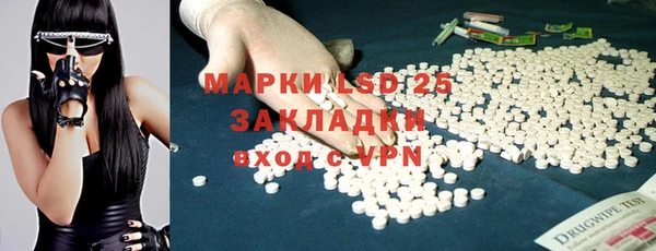 прущие грибы Армянск