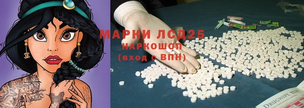 прущие грибы Армянск