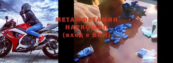 прущие грибы Армянск
